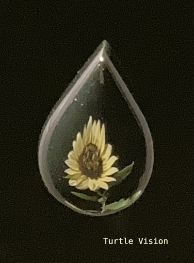 Mirror finished jade, 12mm tall black jade teardrop reflecting a sunflower